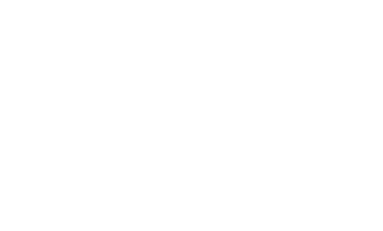 The Dot Dev